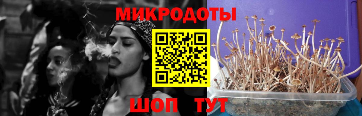 Екатеринбург  Псилоцибиновые грибы MAGIC MUSHROOMS  Вход с VPN  Галлюциногенные грибы Psilocybe 