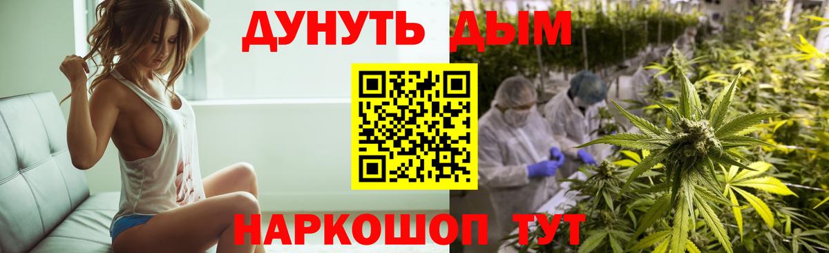 Бошки Шишки Bruce Banner  Бошки Шишки планчик  Каннабис ГИДРОПОН  Екатеринбург  Марихуана индика  Вход с VPN 